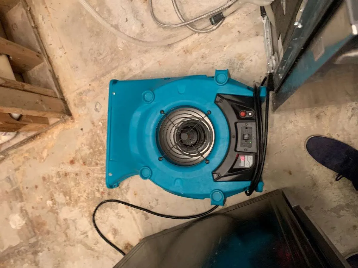 Air mover drying equipment for Mold Remediation & Removal in Van Alstyne
